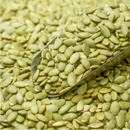 Bulk Natural Inexperienced Pumpkin Seed Kernels in Simple-to-Use Packaging