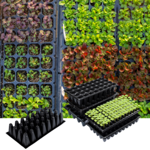 Simple-to-Use Plastic Seedling Tray for Germinating Vegetable Seeds