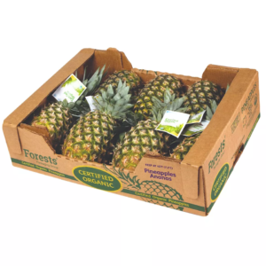 Transport Cartons for Contemporary Pineapples – Cardboard Packaging for Exporting Pineapples