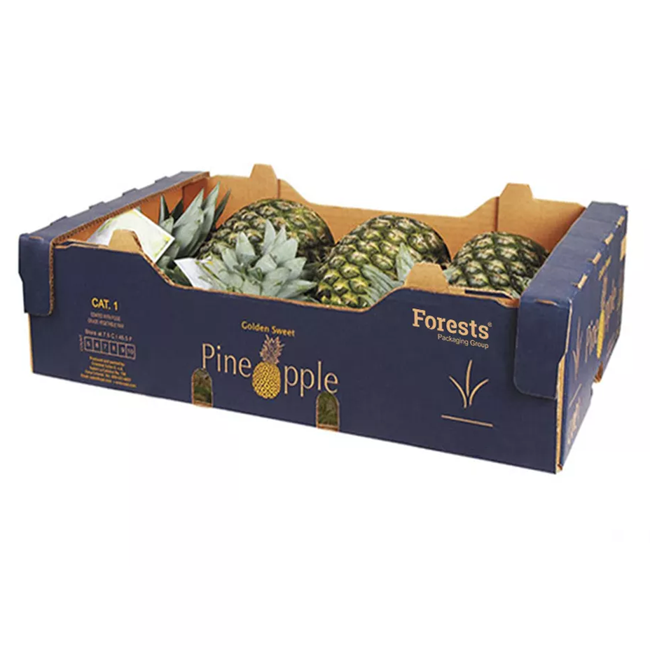 Transport Cartons for Contemporary Pineapples - Cardboard Packaging for Exporting Pineapples